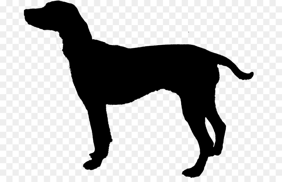 Le Labrador Retriever，Silhouette PNG