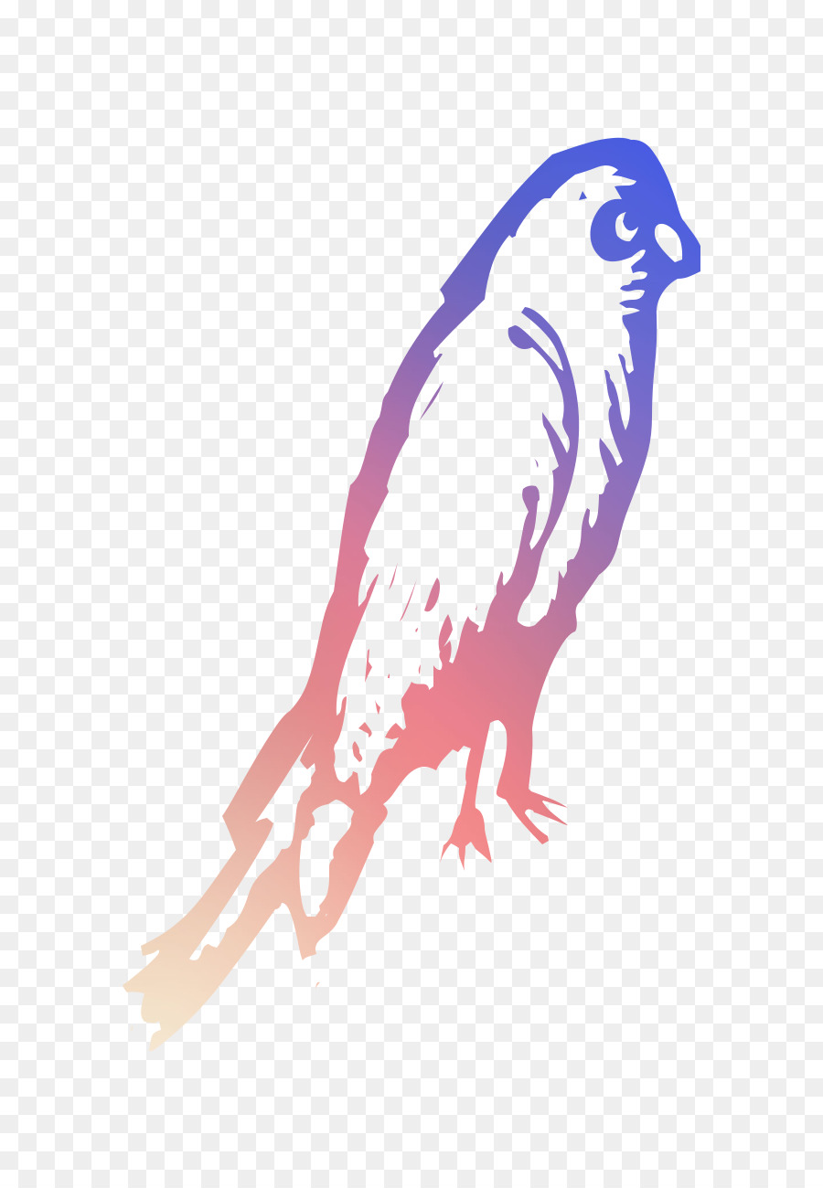 Chouette，Hawk PNG