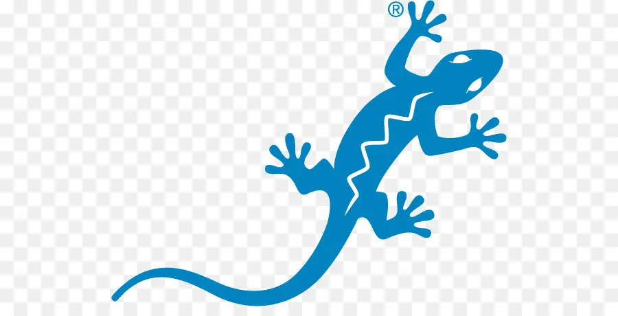 Lézard Bleu，Gecko PNG