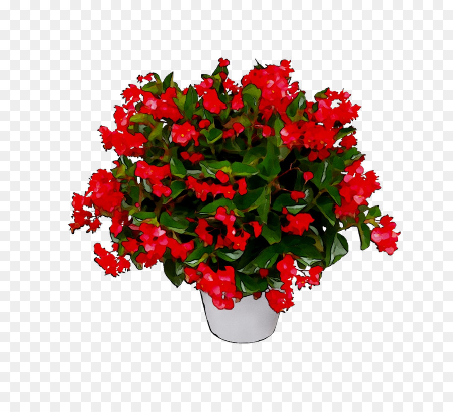 Fleurs Rouges，Pot PNG