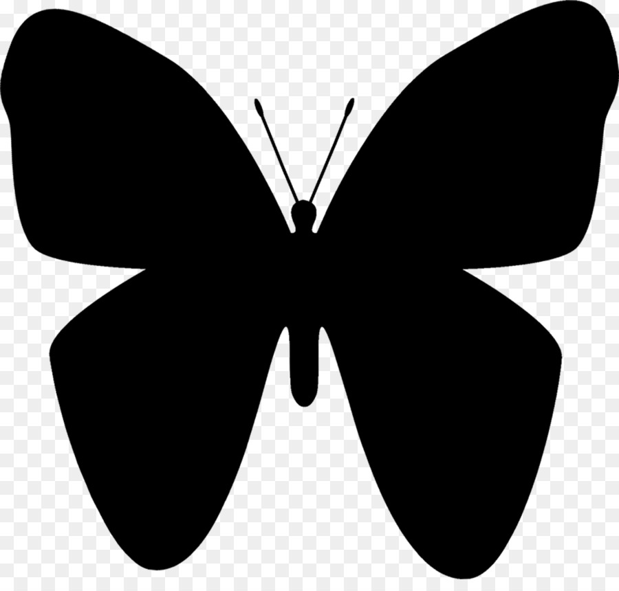 Papillon Noir，Insecte PNG