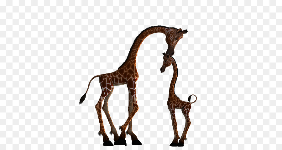 Girafes，Dessin Animé PNG