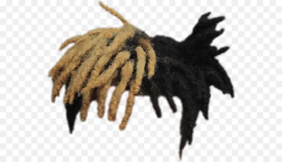 Dreadlocks，Noir PNG