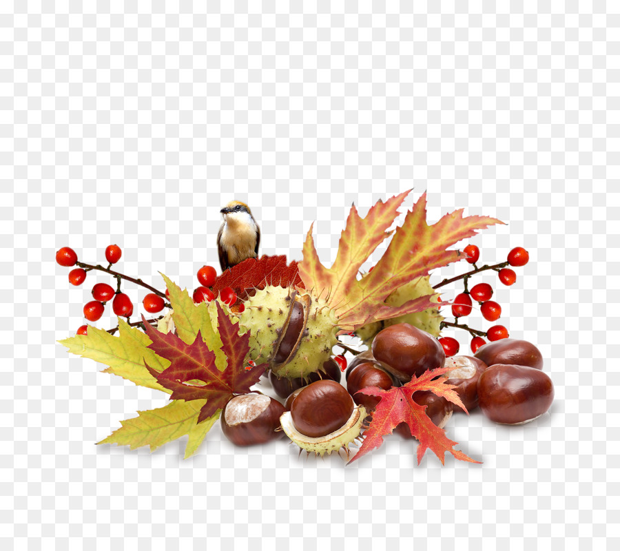 L'automne，Centerblog PNG