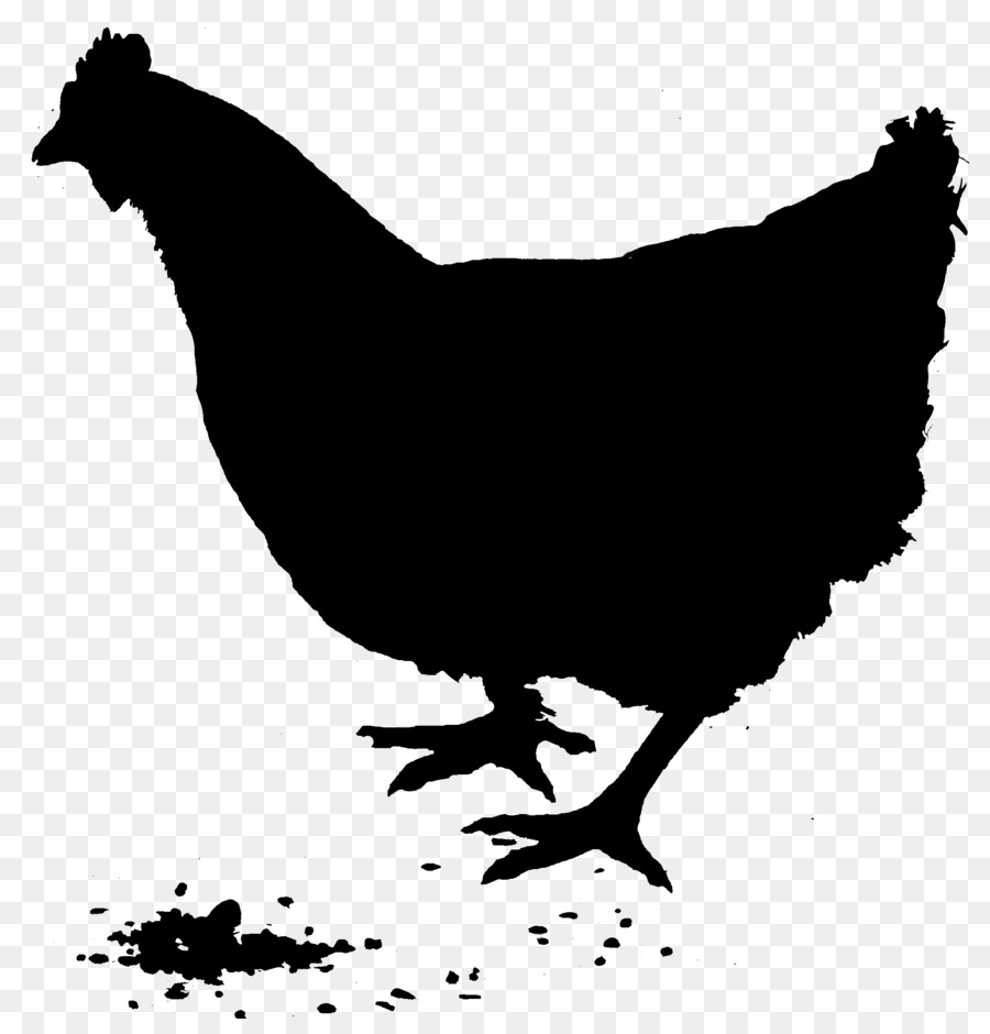 Silhouette De Poulet Noir，Volaille PNG