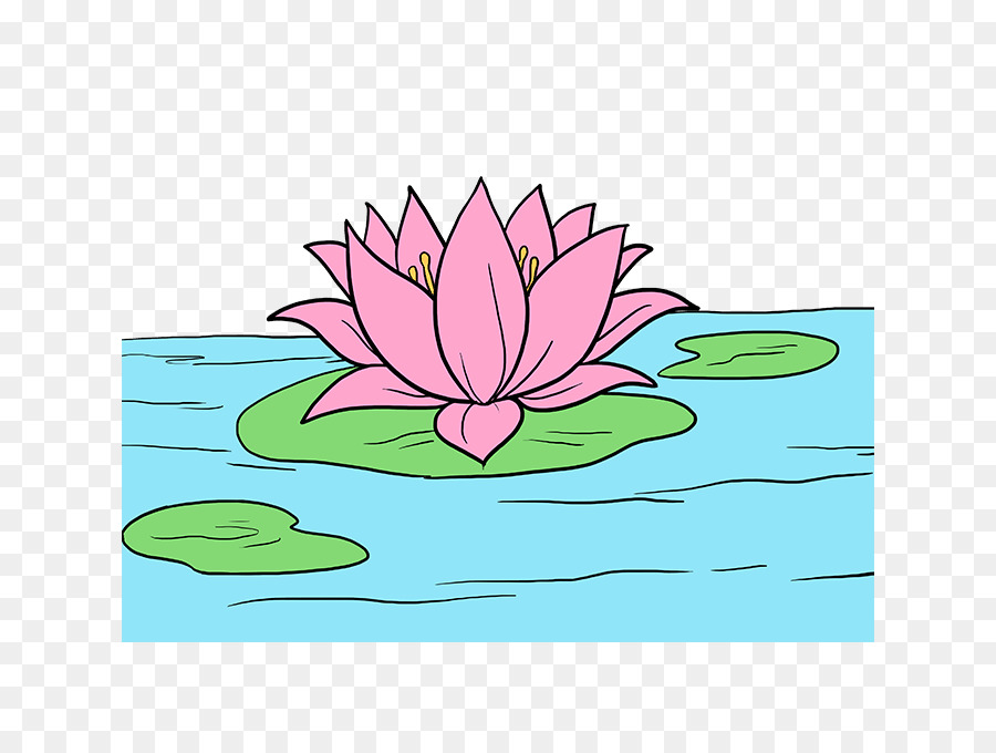 Lotus，Rose PNG