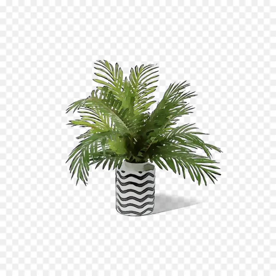 Les Palmiers，Flowerpot PNG