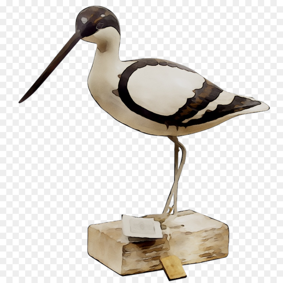 Bec，Oiseau PNG