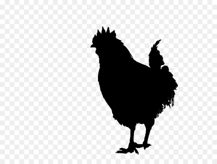 Silhouette De Poulet Noir，Volaille PNG