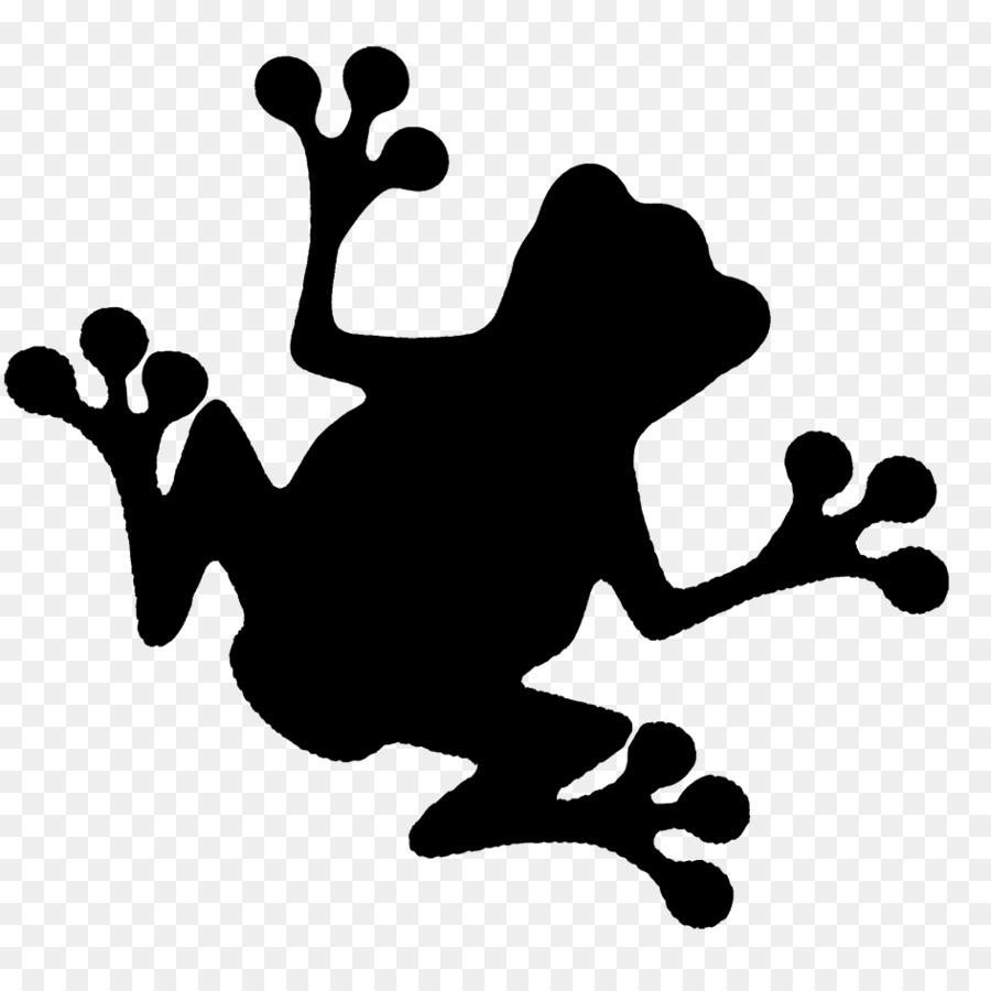 Silhouette De Grenouille，Amphibie PNG