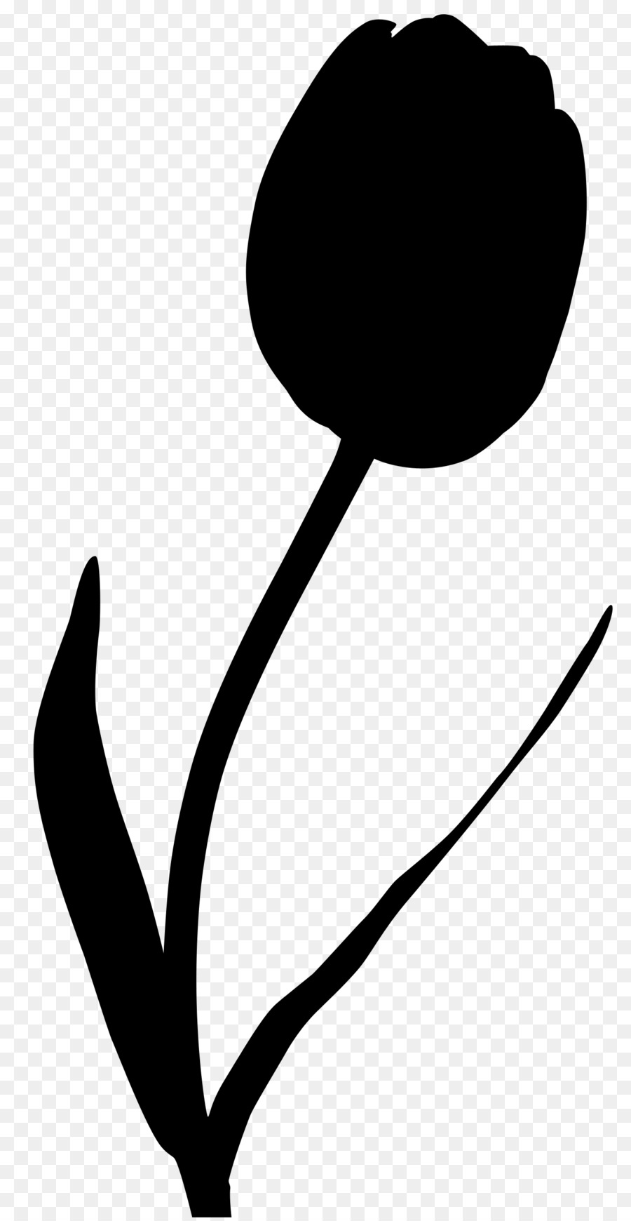 Tulip，Tige De La Plante PNG