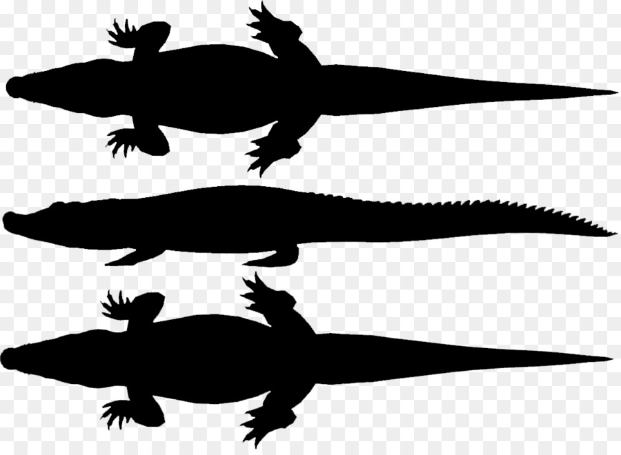 Silhouette De Crocodile，Reptile PNG