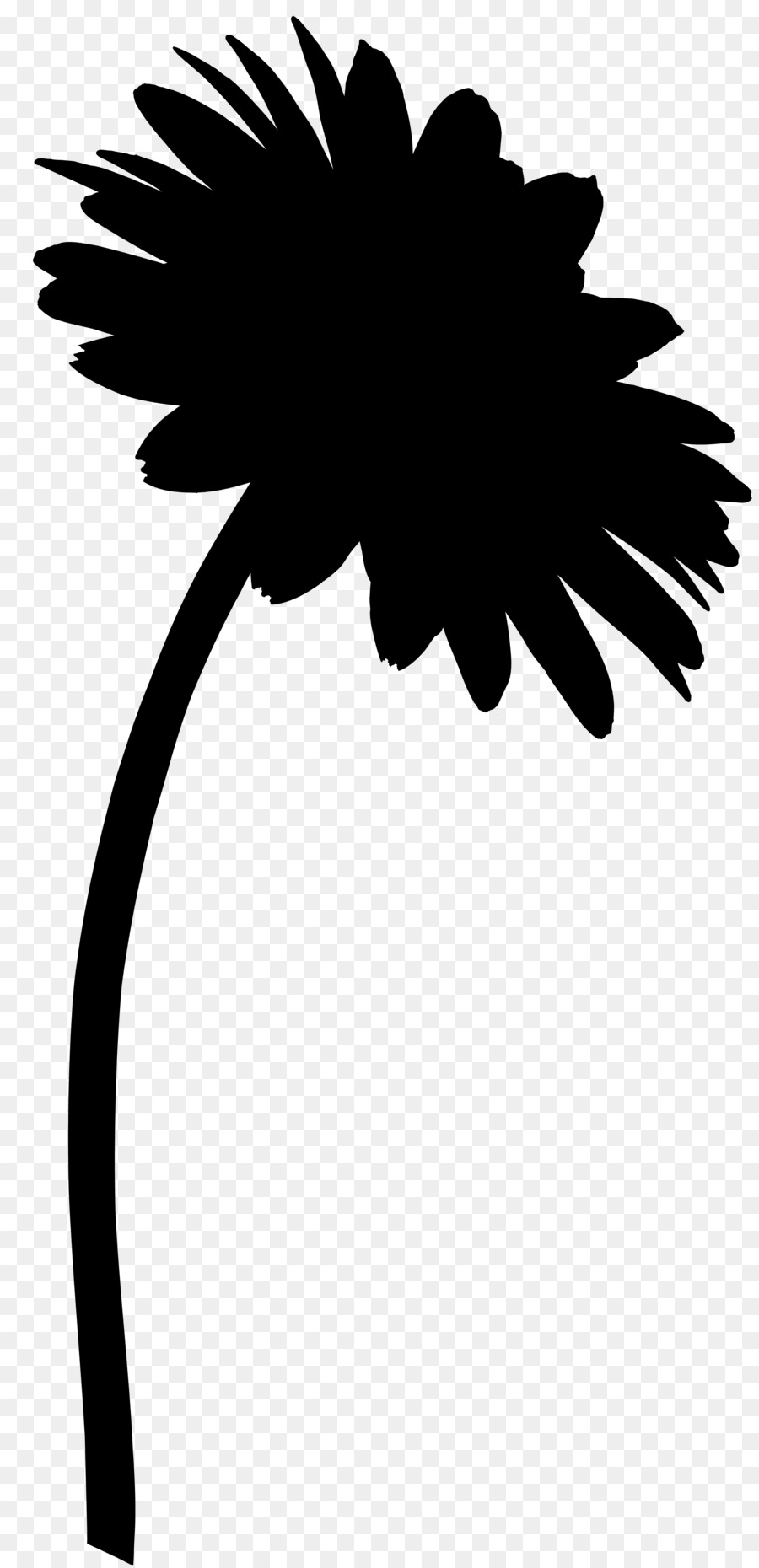 Fleur Silhouette，Usine PNG