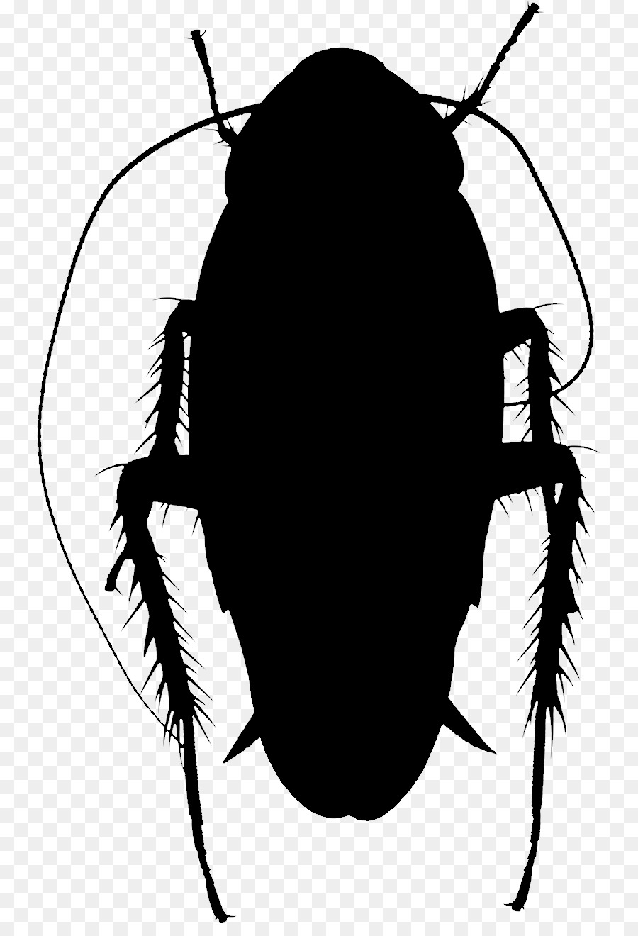 Silhouette，Les Insectes PNG