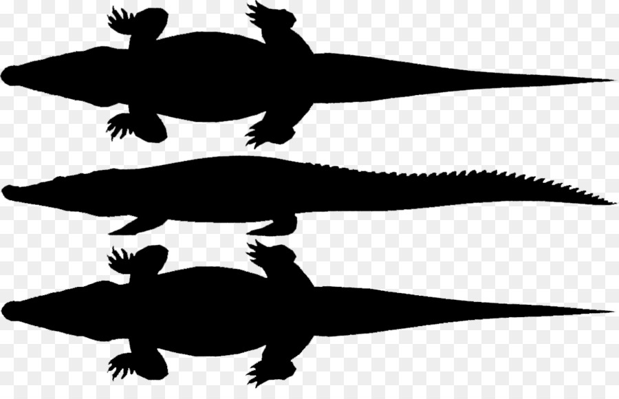 Silhouette De Crocodile，Reptile PNG