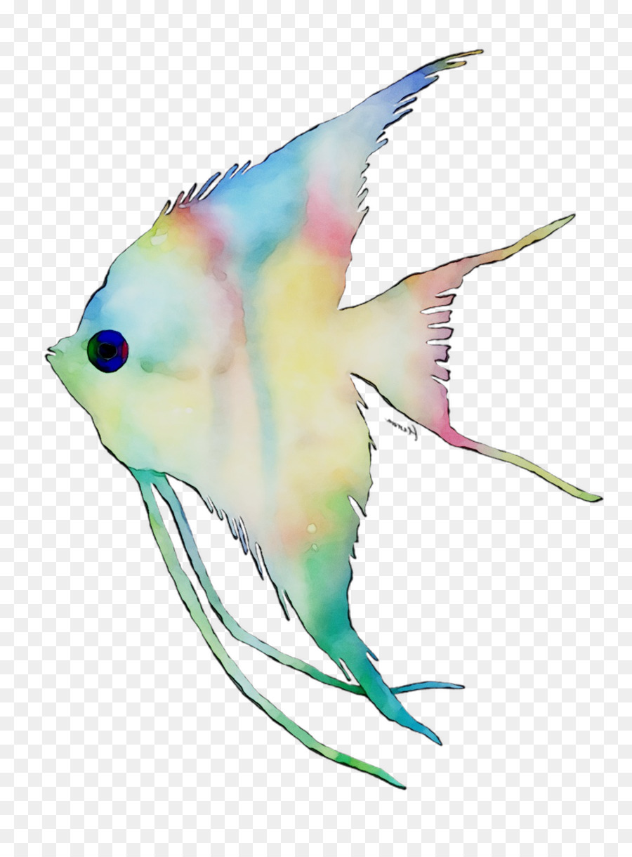 Plume，Animal De Compagnie PNG