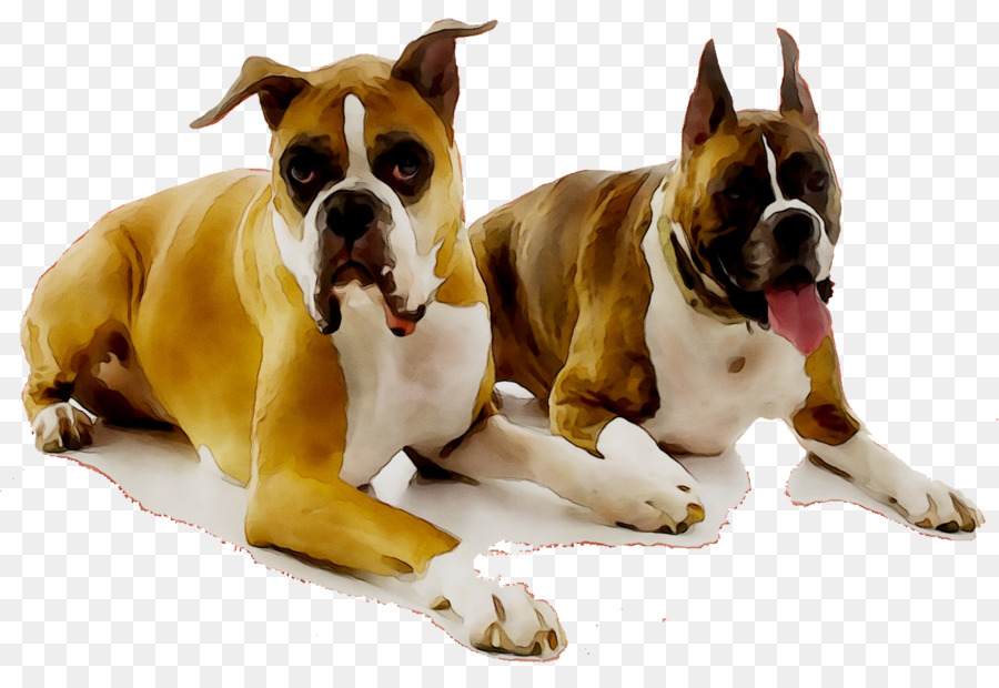 Chiens Boxers，Animaux De Compagnie PNG