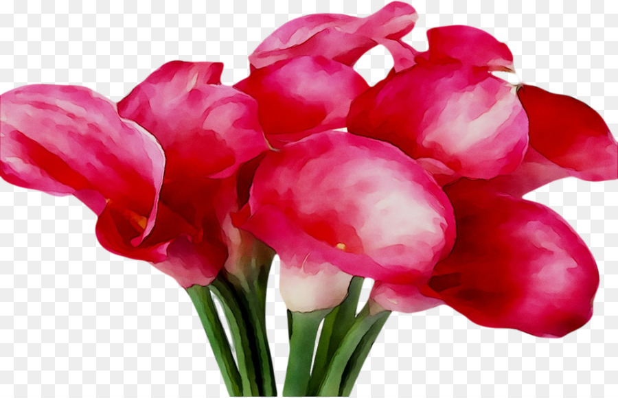 Tulipes Rouges Dans Un Vase，Tulipes PNG