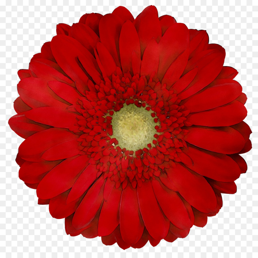 Fleur Rouge，Fleur PNG