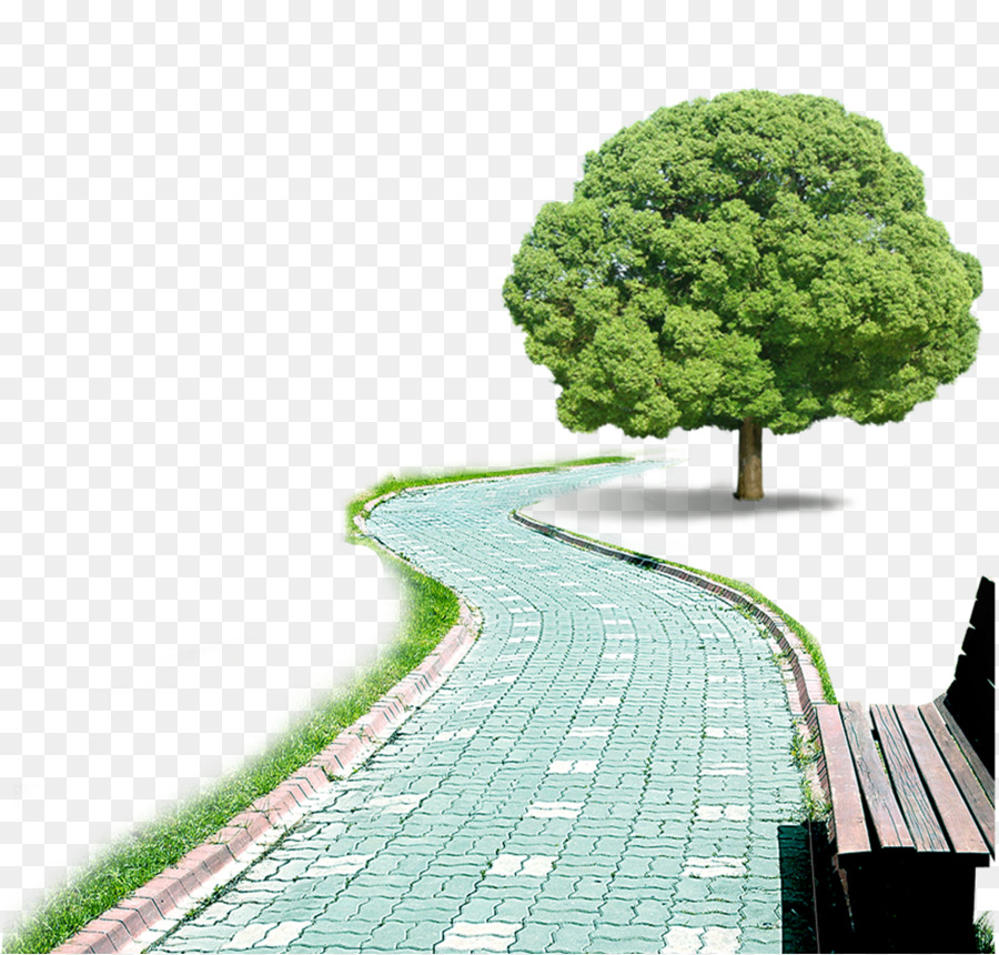 Arbre Et Chemin，Banc PNG