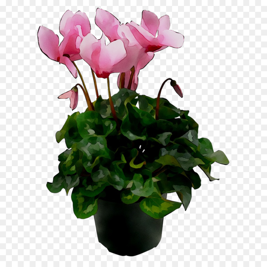 Fleurs Roses，Pot PNG