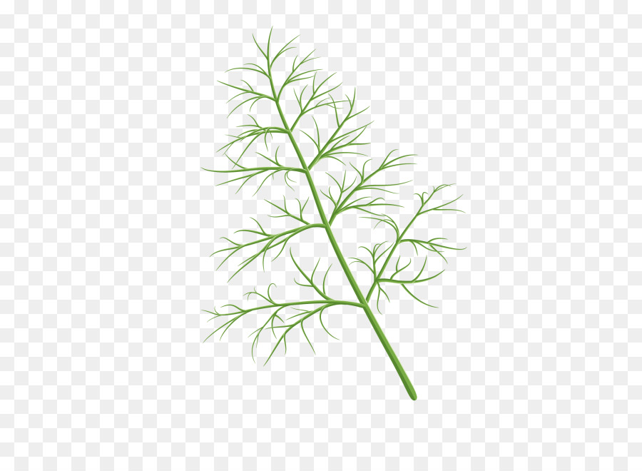 Bifurquer，Feuille PNG