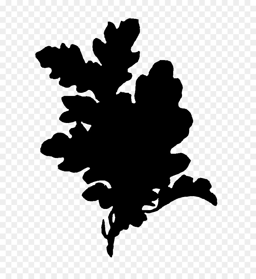Silhouette，Feuille PNG