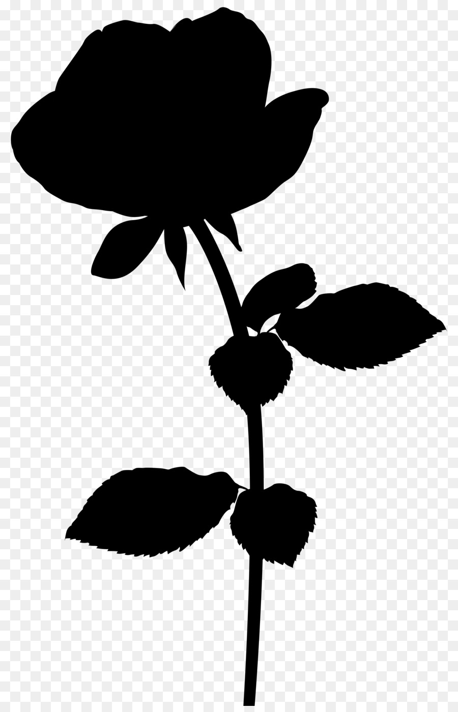 Silhouette De Plante，Fleur PNG