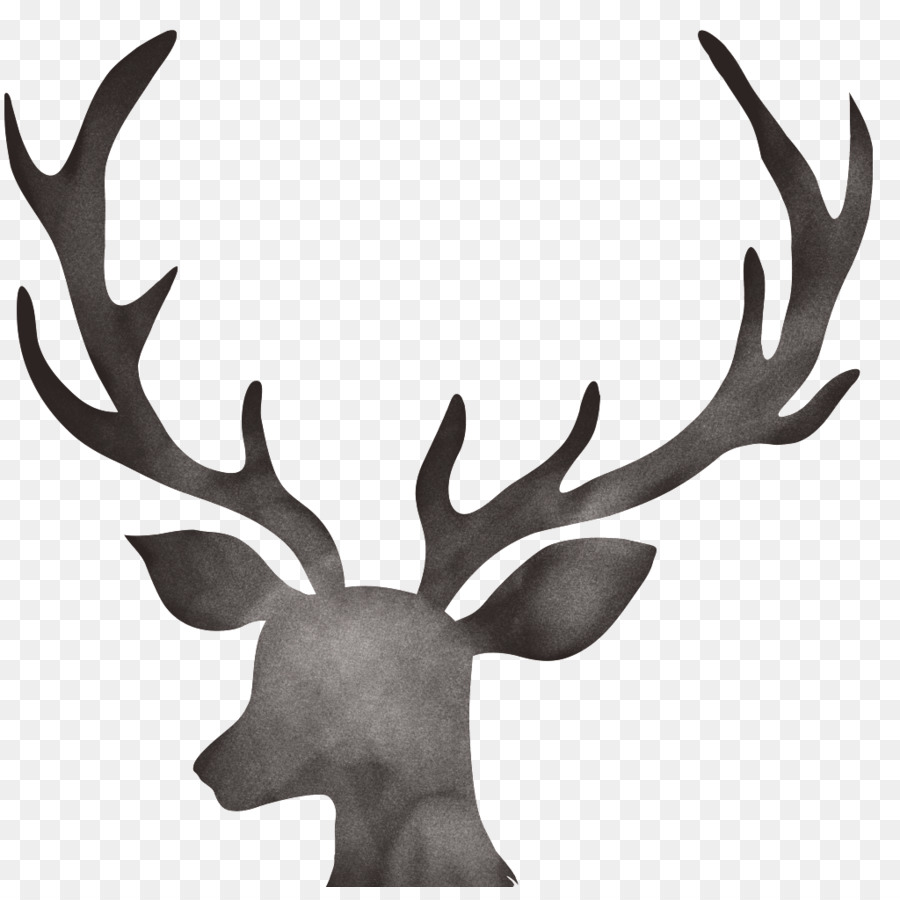 Cerf，Animal PNG