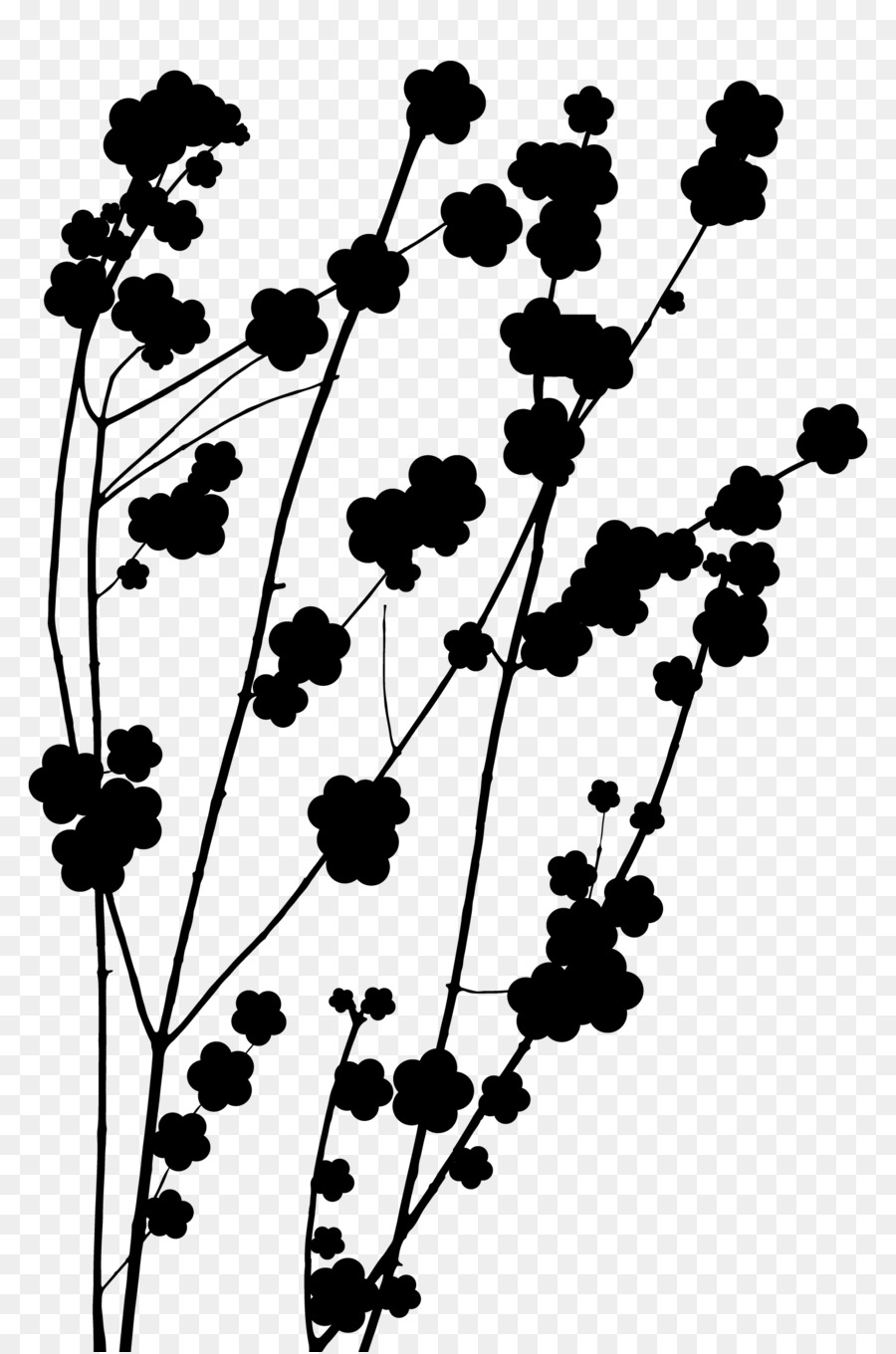 Silhouette De Fleur Noire，Silhouette PNG