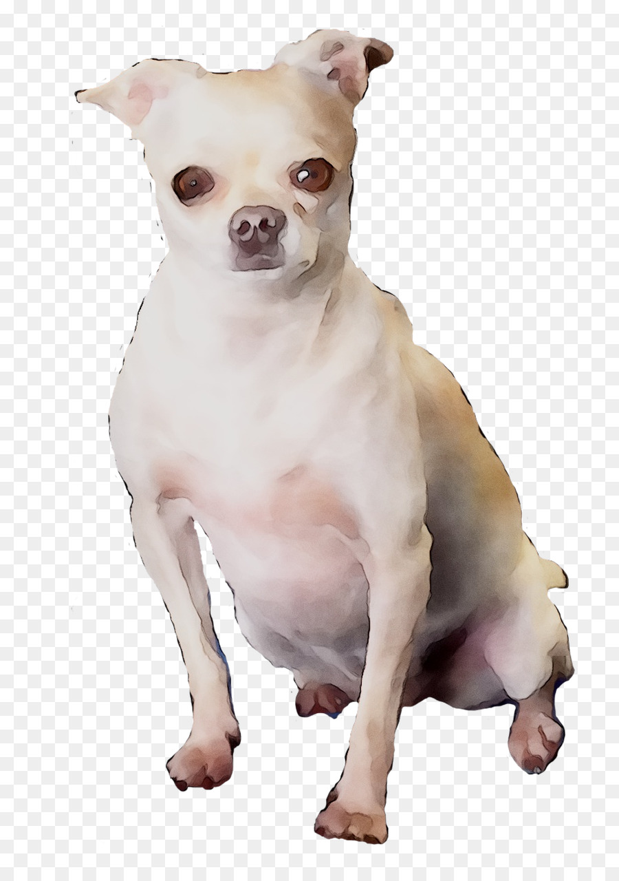 Chien Marron，Animal De Compagnie PNG