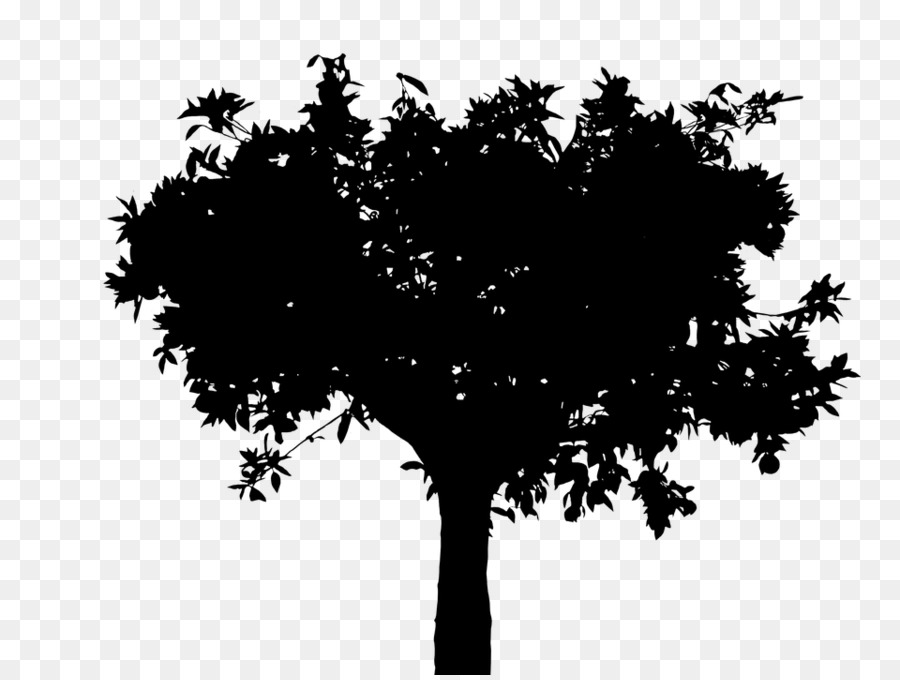 Arbre，Nature PNG