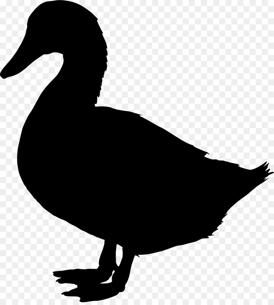 Canard，Silhouette PNG