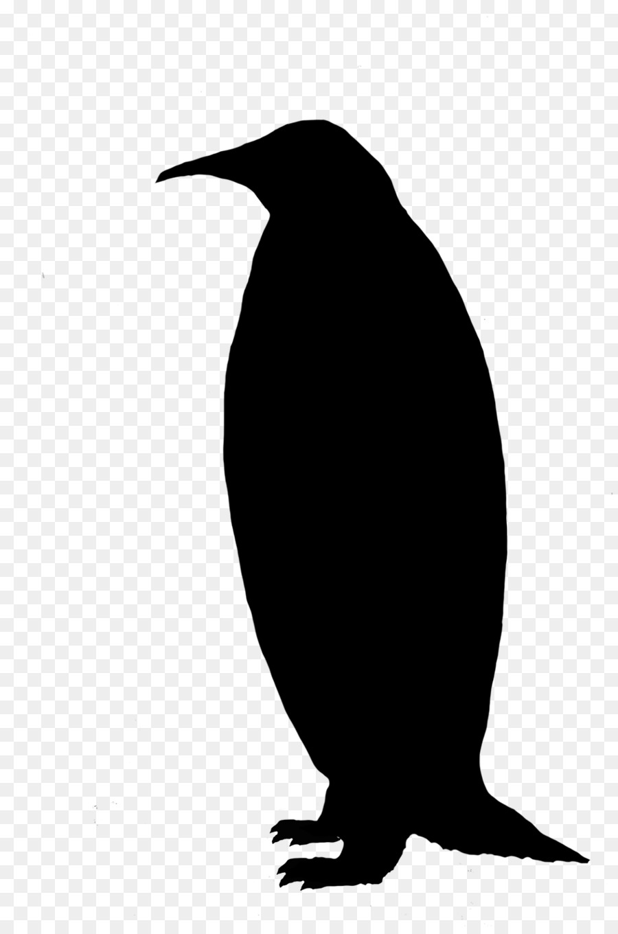 Silhouette D'oiseau，Aviaire PNG