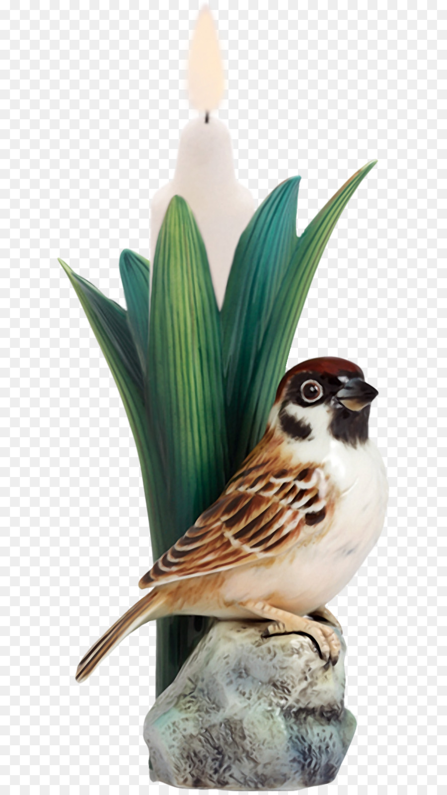 Oiseau Et Bougie，Bougie PNG