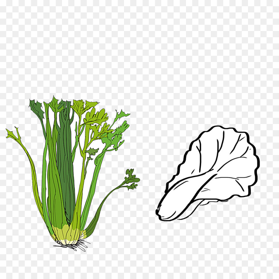 Légumes，La Résolution De L'image PNG