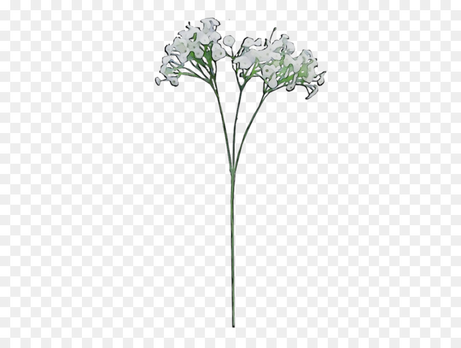 Les Fleurs Coupées，Tige De La Plante PNG