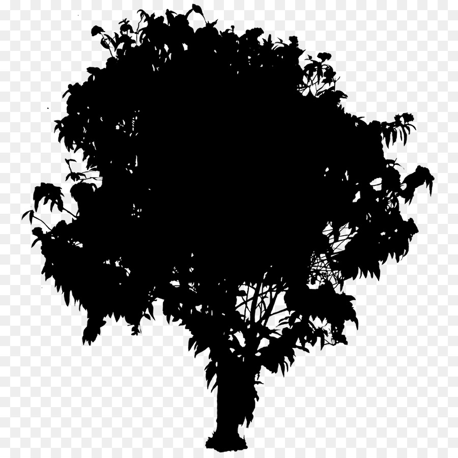 Arbre，Nature PNG