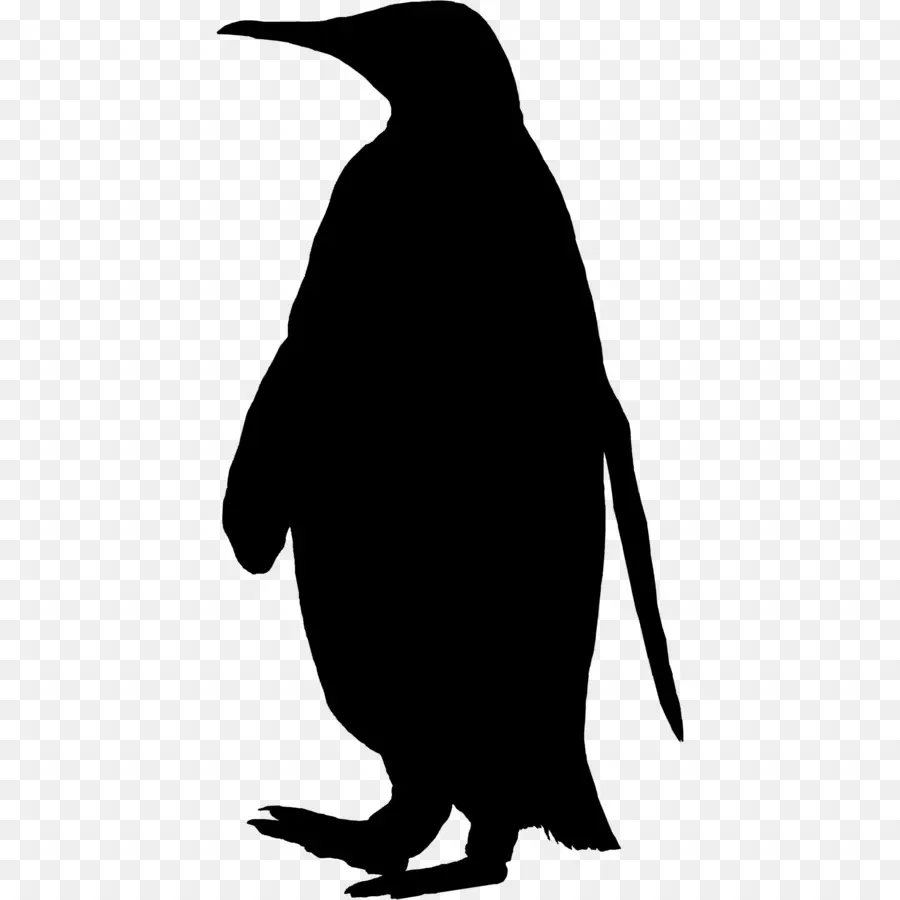 Pingouin，La Faune PNG