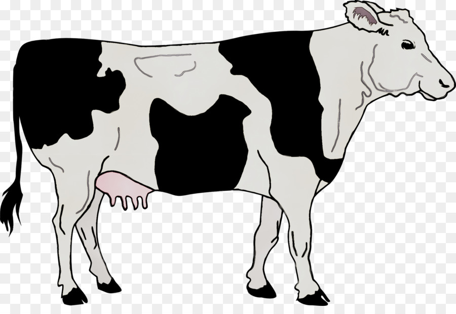 Vache，Bétail PNG