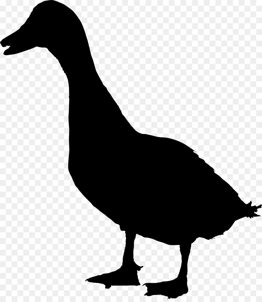 Canard，Silhouette PNG