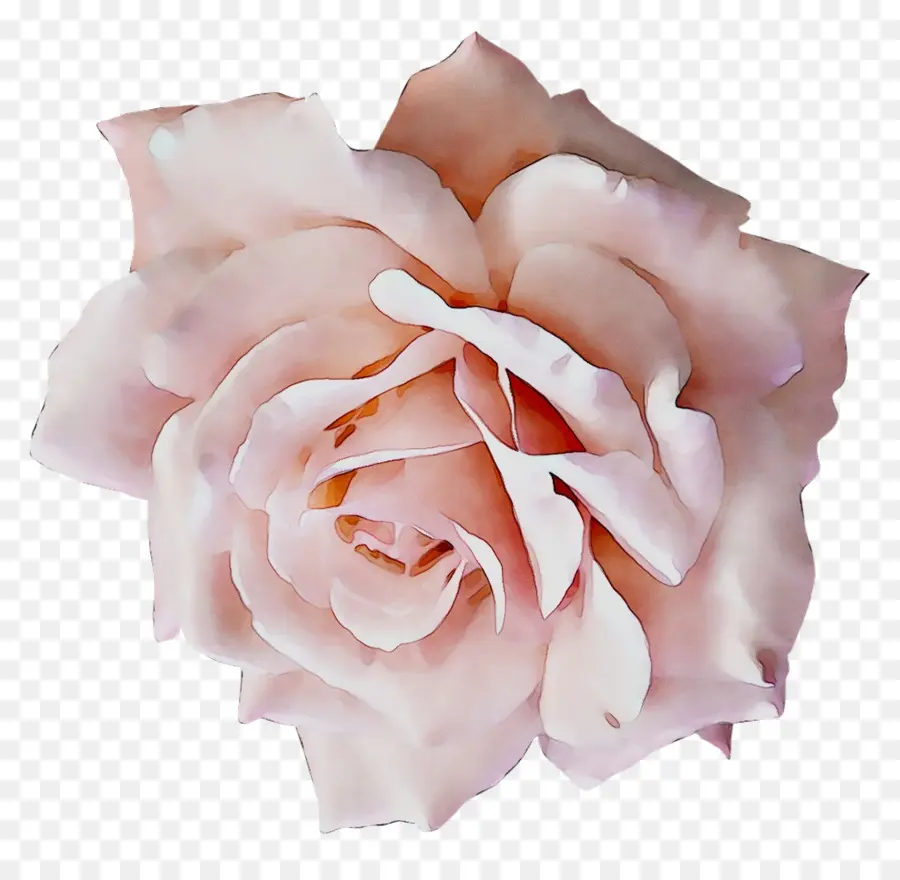 Rose Géométrique，Pétales PNG