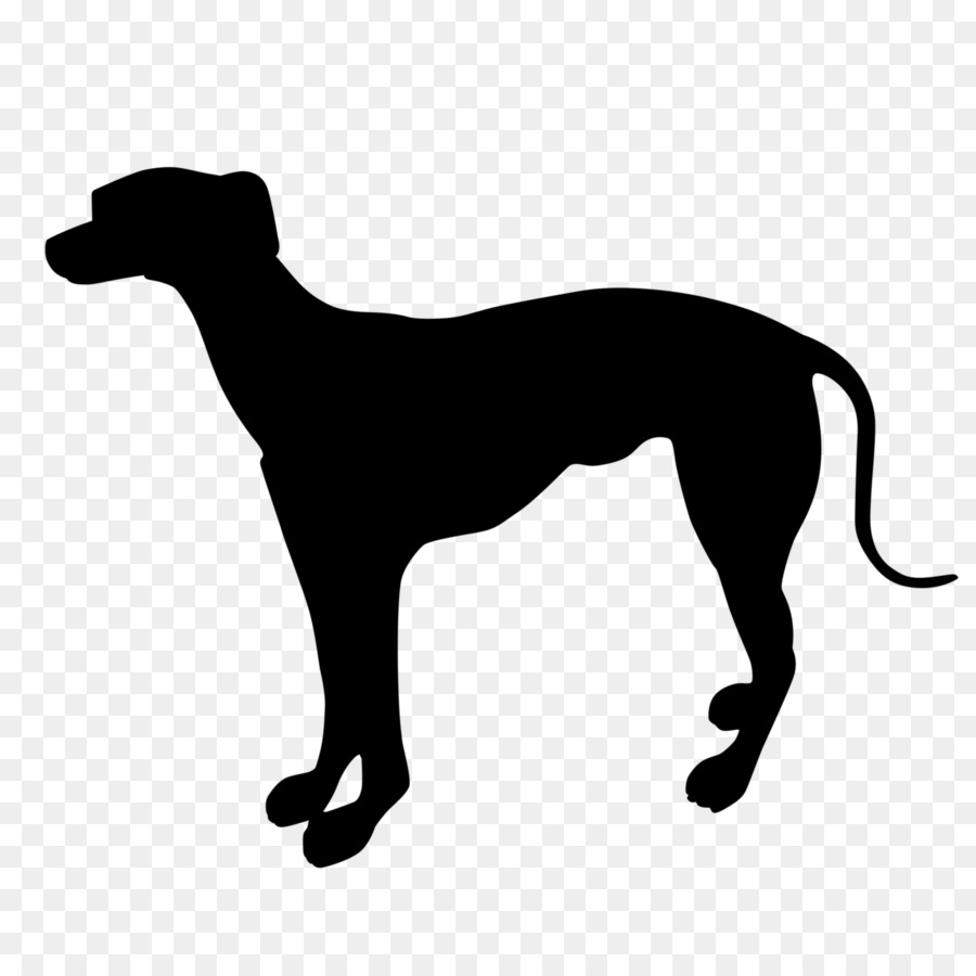 Chien Qui Court，Blanc PNG