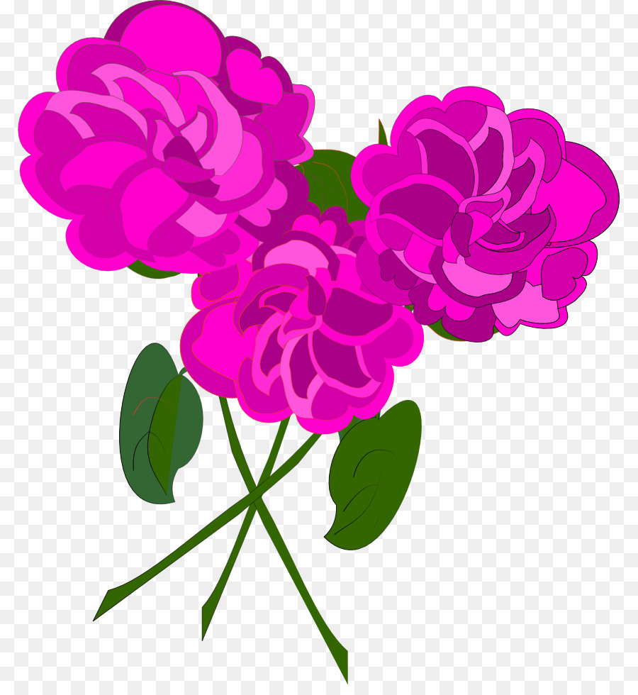 Les Roses De Jardin，Rose PNG