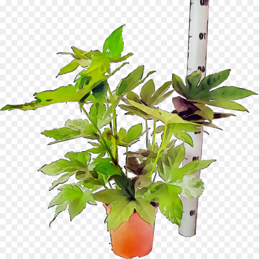 Flowerpot，Feuille PNG