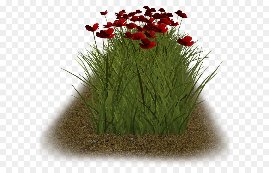 Fleurs，Herbe PNG