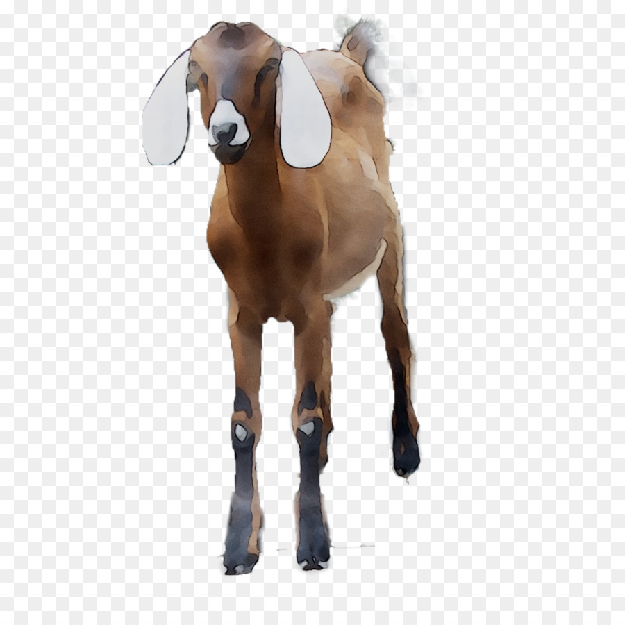 Chèvre，Mustang PNG