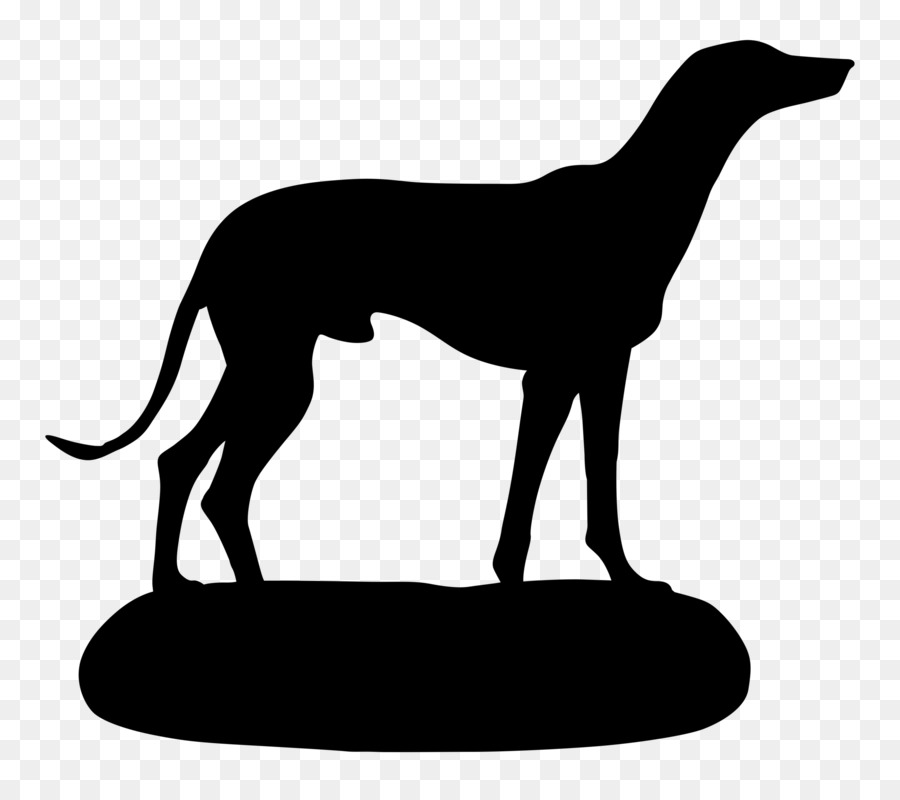 Petit Lévrier Italien，Greyhound PNG