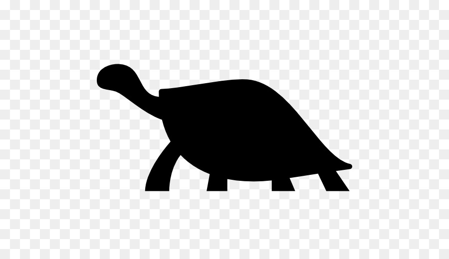 Tortue，Reptile PNG