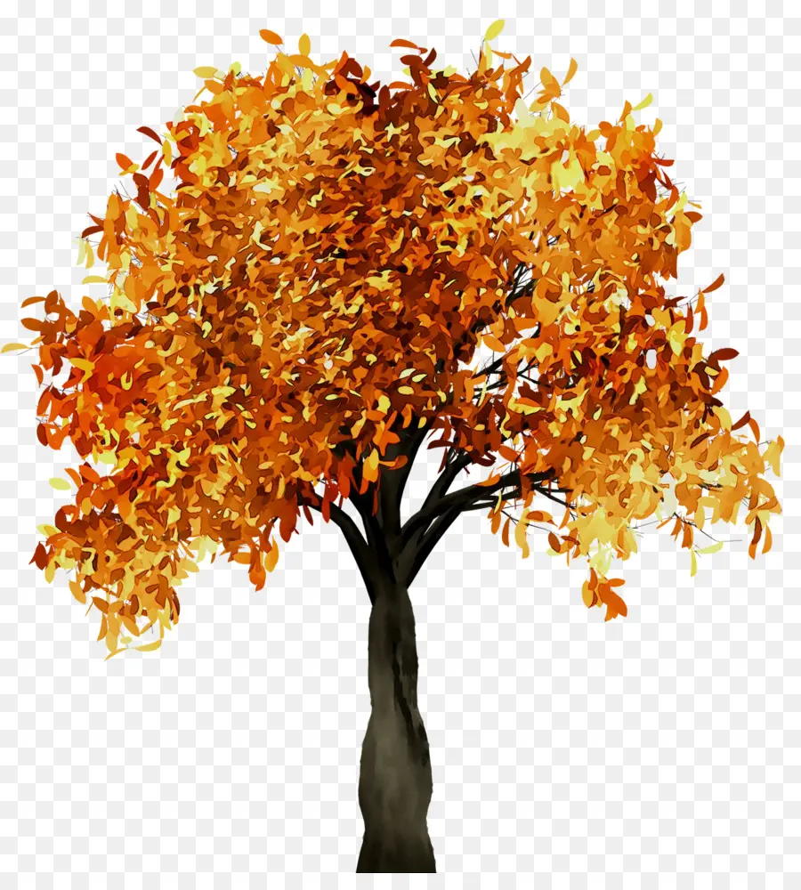 Arbre D'automne，Feuilles PNG